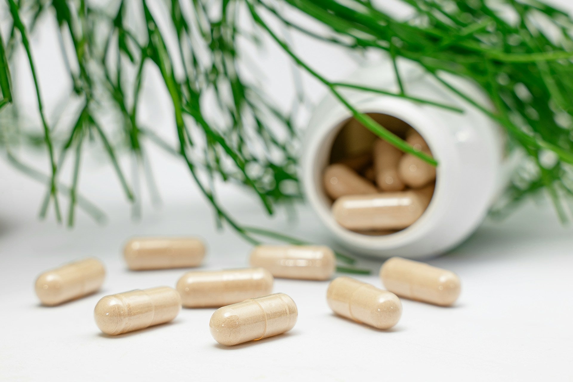 NMN Supplement