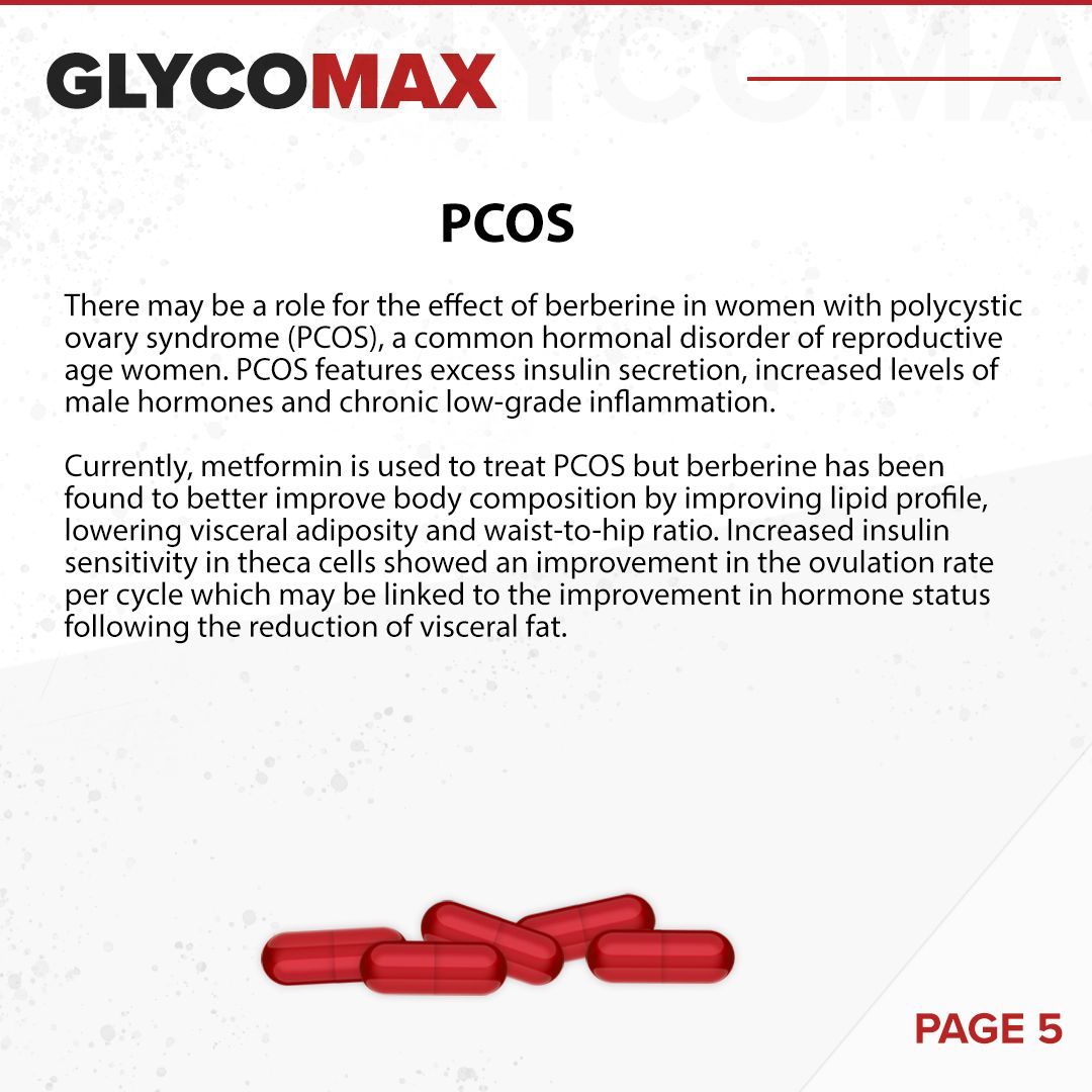 GLYCOMAX - 60 SERVINGS