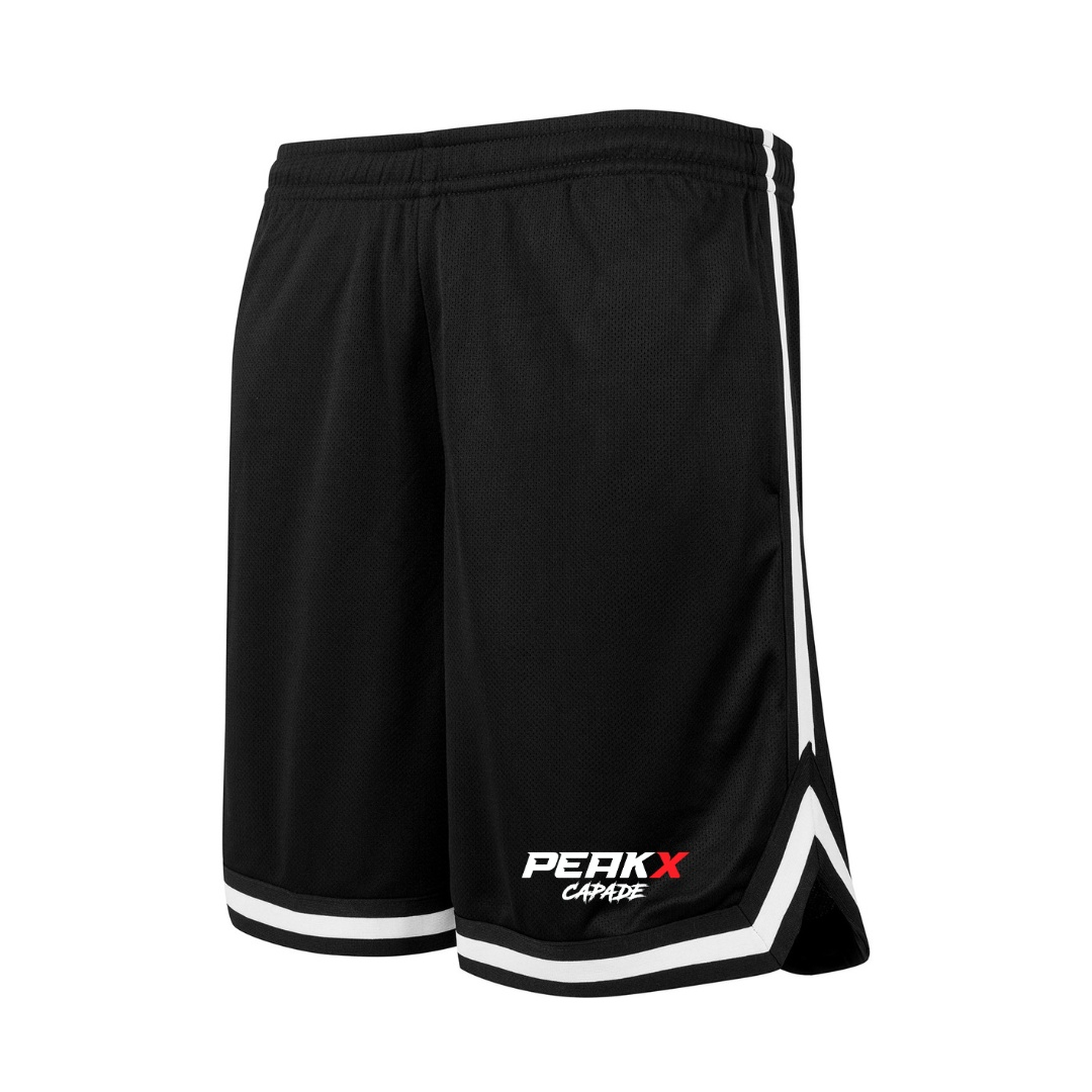 Mesh Shorts